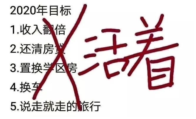 自主品牌向上，这份答卷我给满分