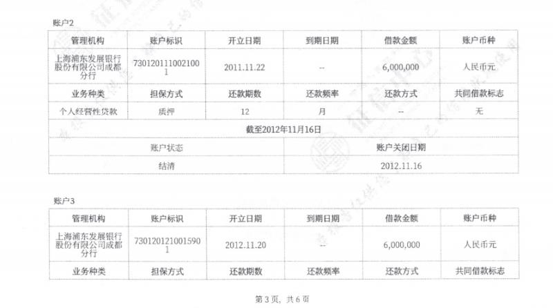 程女士的个人征信报告，显示在银行借款共计1200万。来源：受访者。