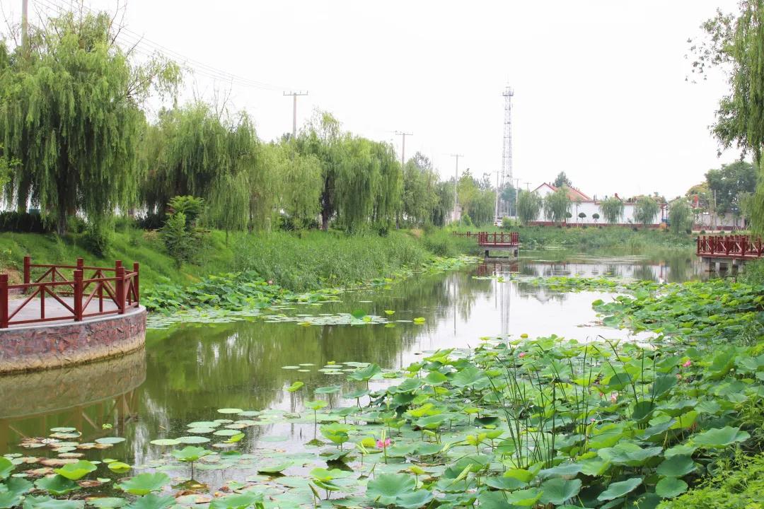 博兴县吕艺镇:打好"农创"发展"组合拳" 高质量推进特色小镇建设