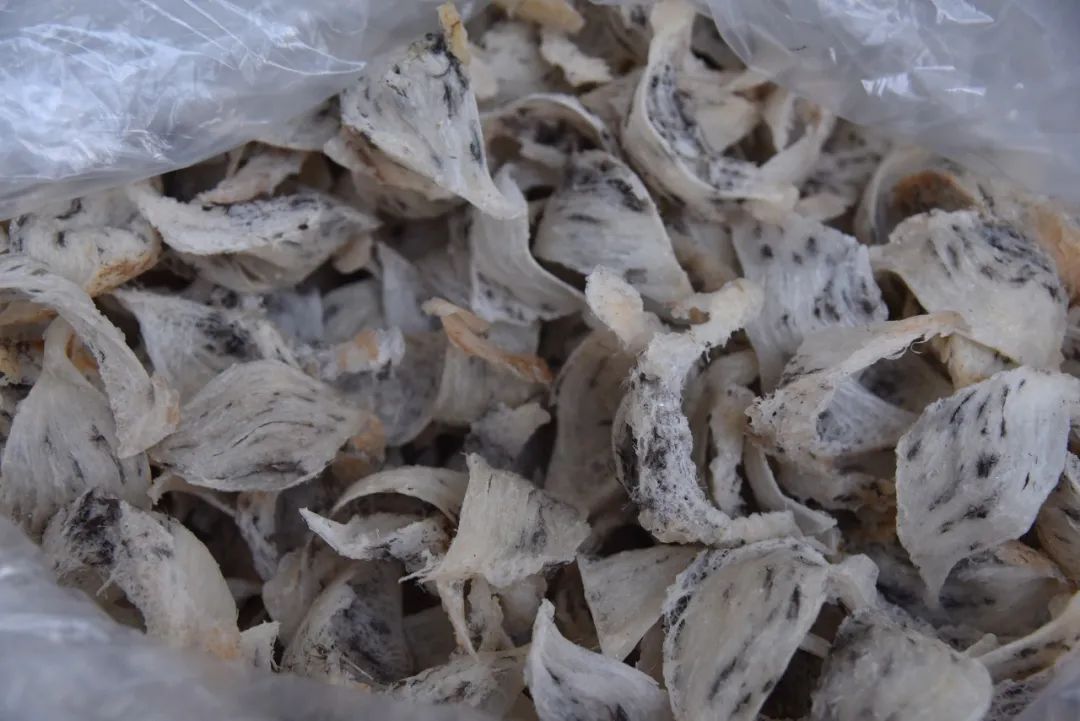 湛江海关破获"家族式"走私大案!涉案金额10亿元,燕窝101吨!