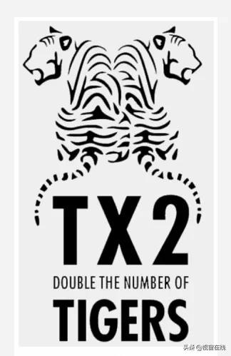 虎tigerstnгp中国虎华南虎太行虎67啊太行山也曾有老虎写在729世界