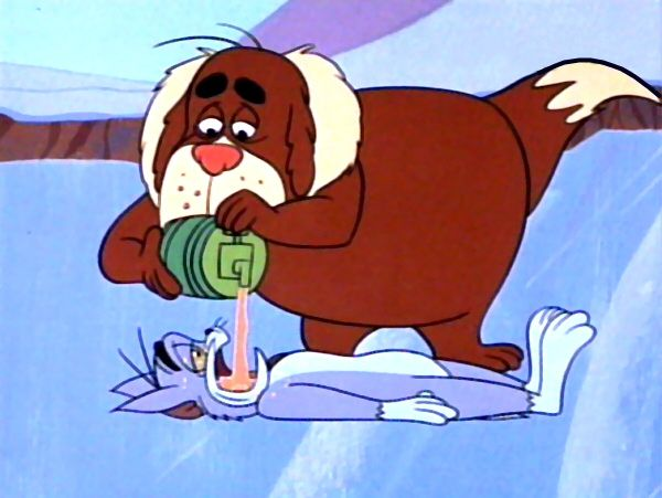 一只狗|英格兰|圣伯纳犬|救援队_新浪新闻