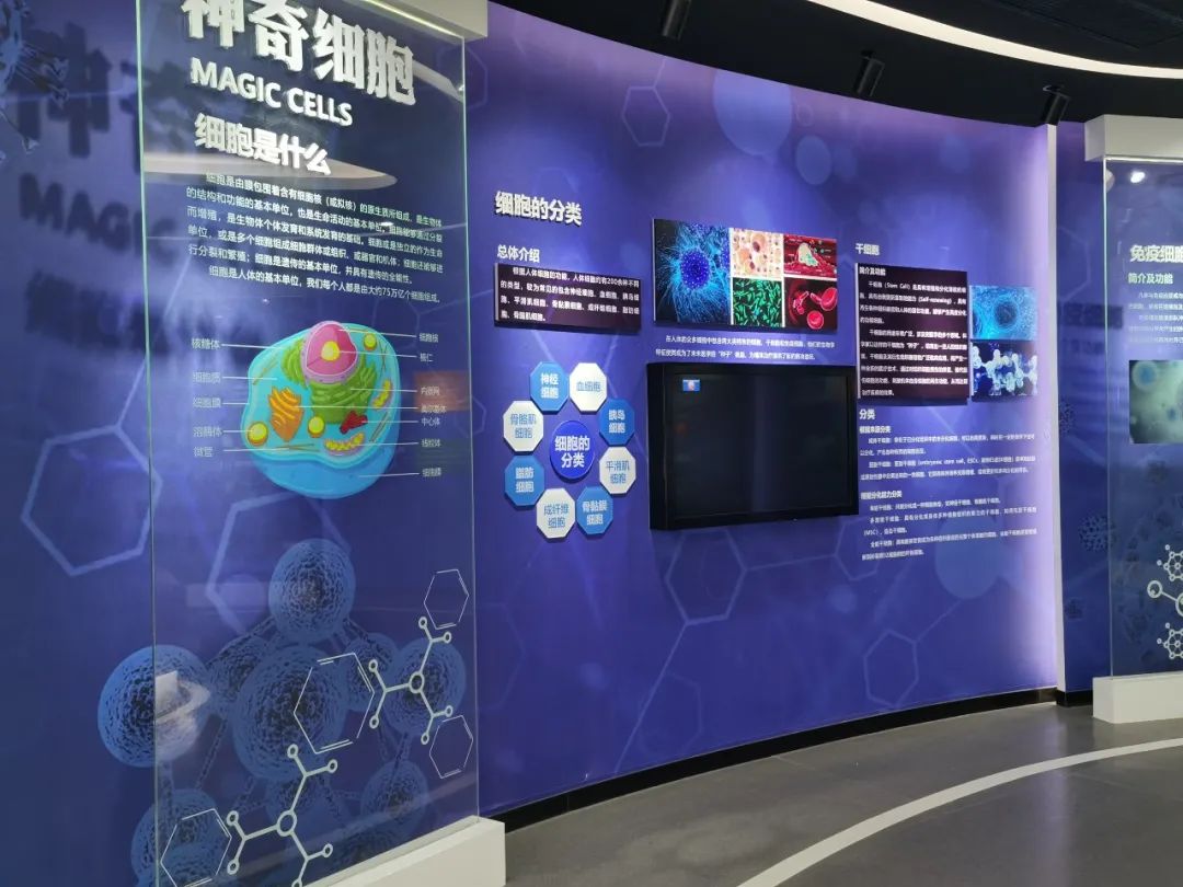走进海尔国际细胞库走近细胞医学前沿