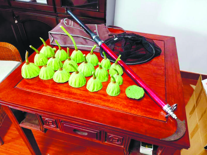 偷采的莲蓬和工具.74执法人员现场控制偷采人.