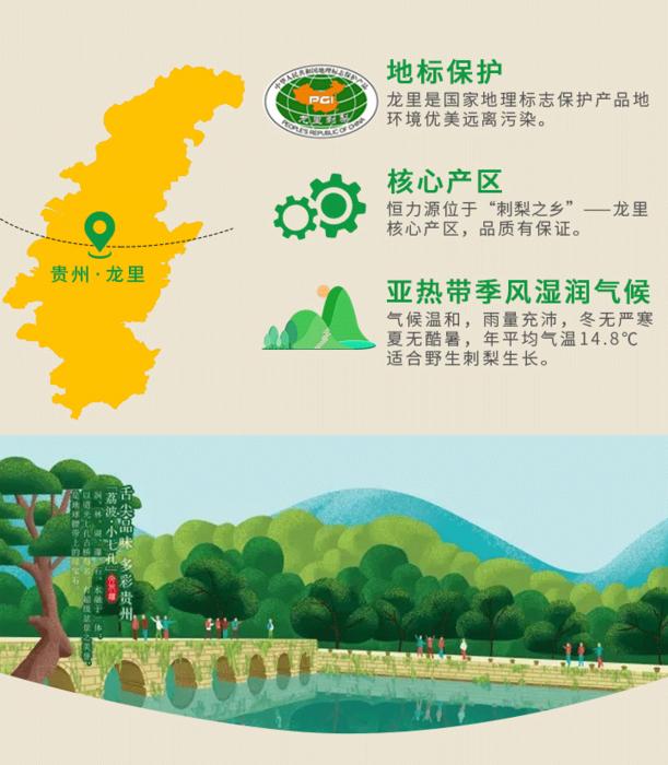 刺梨的野生资源分布，贵州刺梨产量何以称霸全国？|贵州|贵州省_新浪新闻