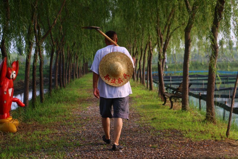 辞去副镇长,他想当网红!淄博"农民老刘"出道带着全村一起红