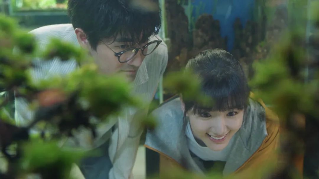 全员挨骂,编剧可真有你的