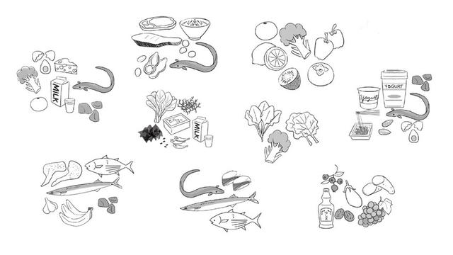 推荐9大护眼食物!鸡蛋,牛奶,蓝莓都上榜 3种伤眼食物要少吃