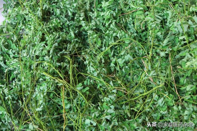 夏季祛湿御暑食疗药膳|鸡骨草|陈皮_新浪新闻