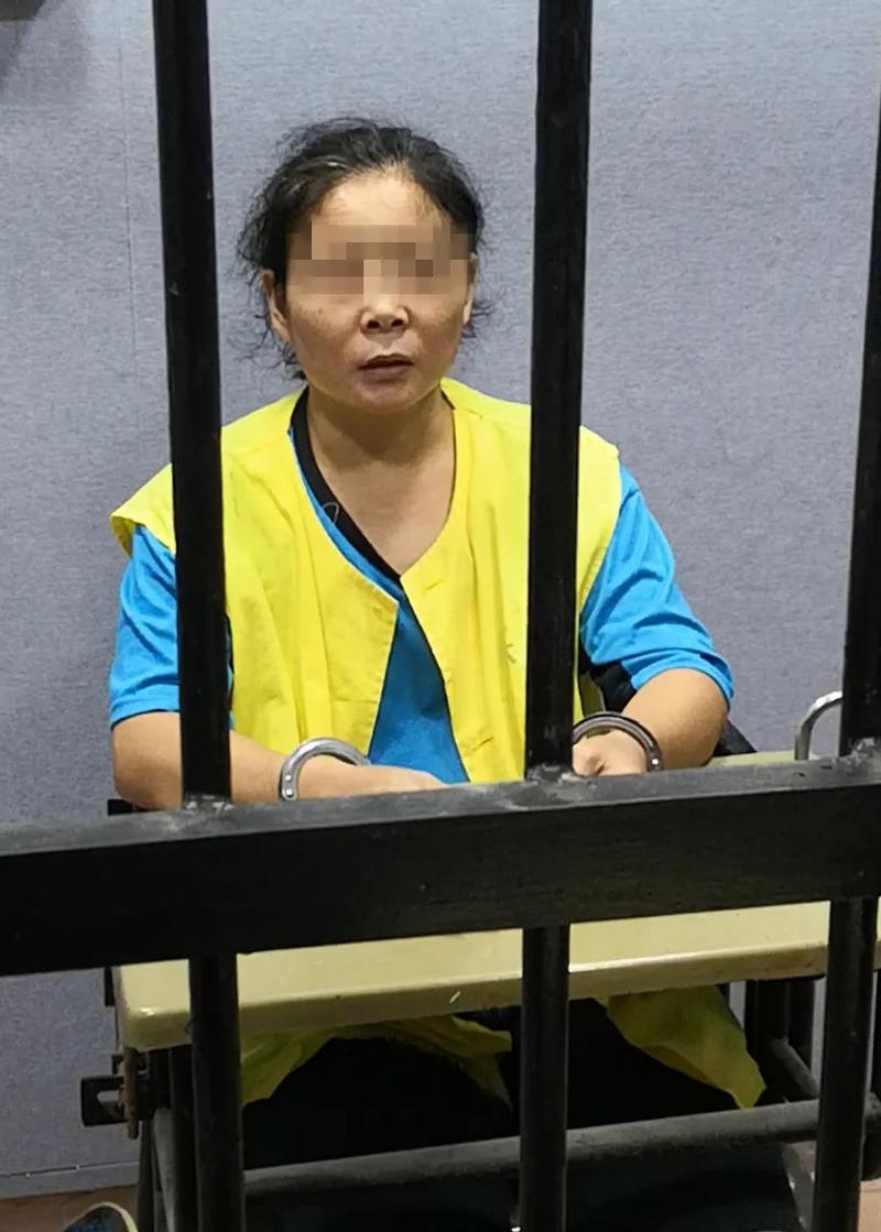 日前,经乳源法院审理,被告人邓某萍以非法占有为目的,在没有取得房屋