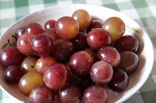 夏天的无籽西瓜,无籽葡萄都被打了激素?你的担心有点多余了