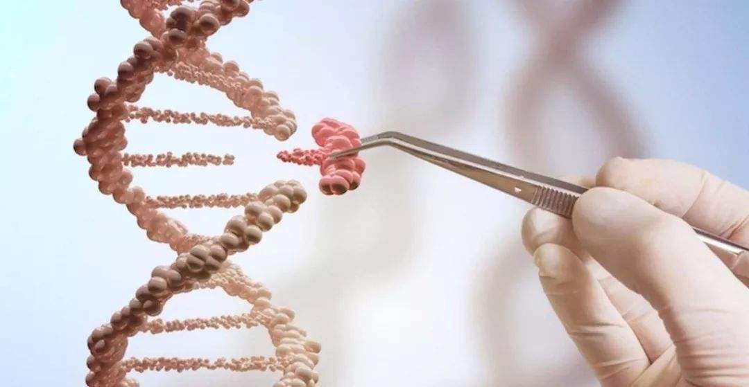 2020生物制药排名_2020年生物制药交易分析:疫情之下收购有所突破