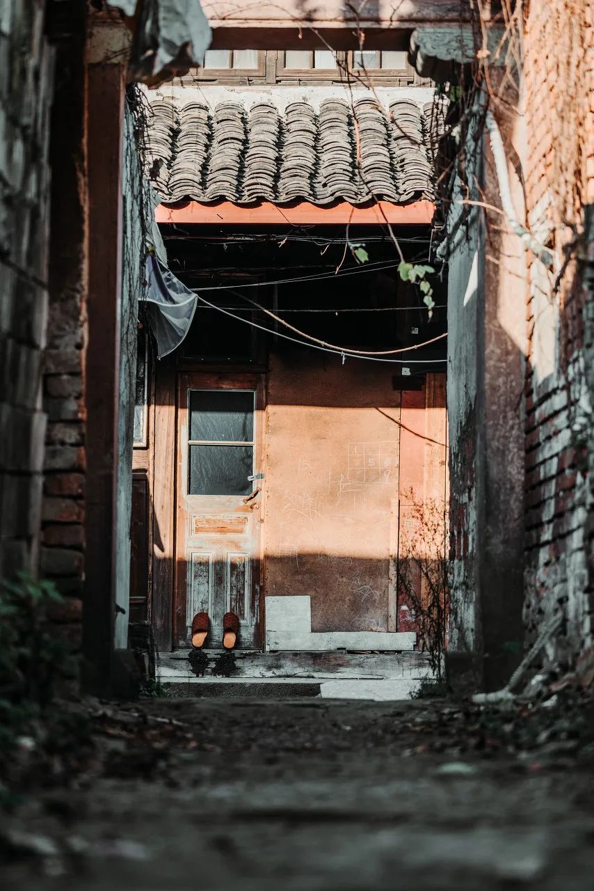 城市备忘录丨宁波人没说的话都在这些老街小巷里