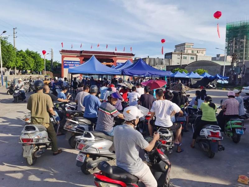 陆丰市碣石甲子南塘博美地区违标两轮车临时牌证核发工作开始啦