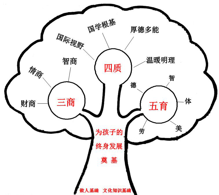 "三商""四质""五育".三亚这所小学全都有!