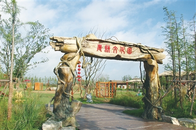 田园胜地:七彩阜宁农业公园