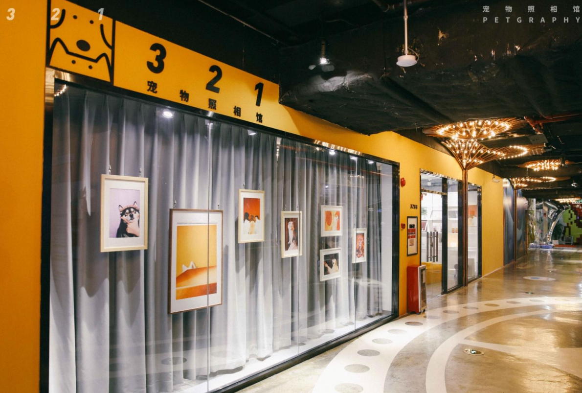 当仪式感融入养宠这件事,「321宠物照相馆」为养宠人群提供宠物拍照