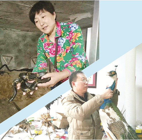 我省确定13种在养禁食陆生野生动物，我市为主要集中区域