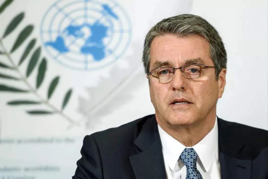 世界贸易组织(WTO)现任总干事阿泽维多