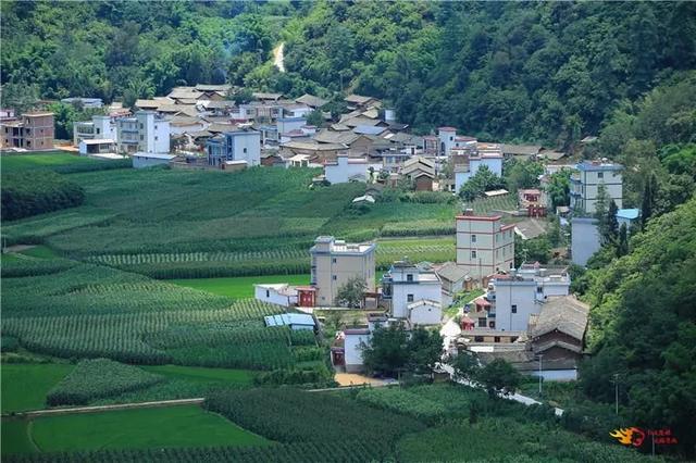 翠竹林海美 田园瓜果香:禄丰这个小众景点,周末约起来|林海|禄丰|翠竹