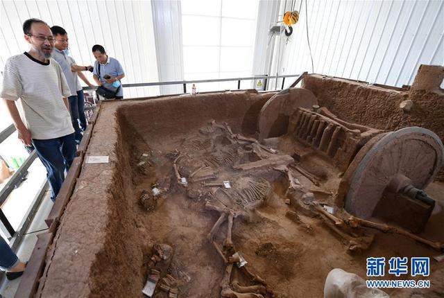 陕西保护复原2800年前西周青铜轮牙马车