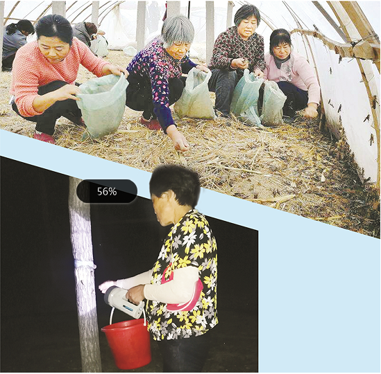 我省确定13种在养禁食陆生野生动物，我市为主要集中区域