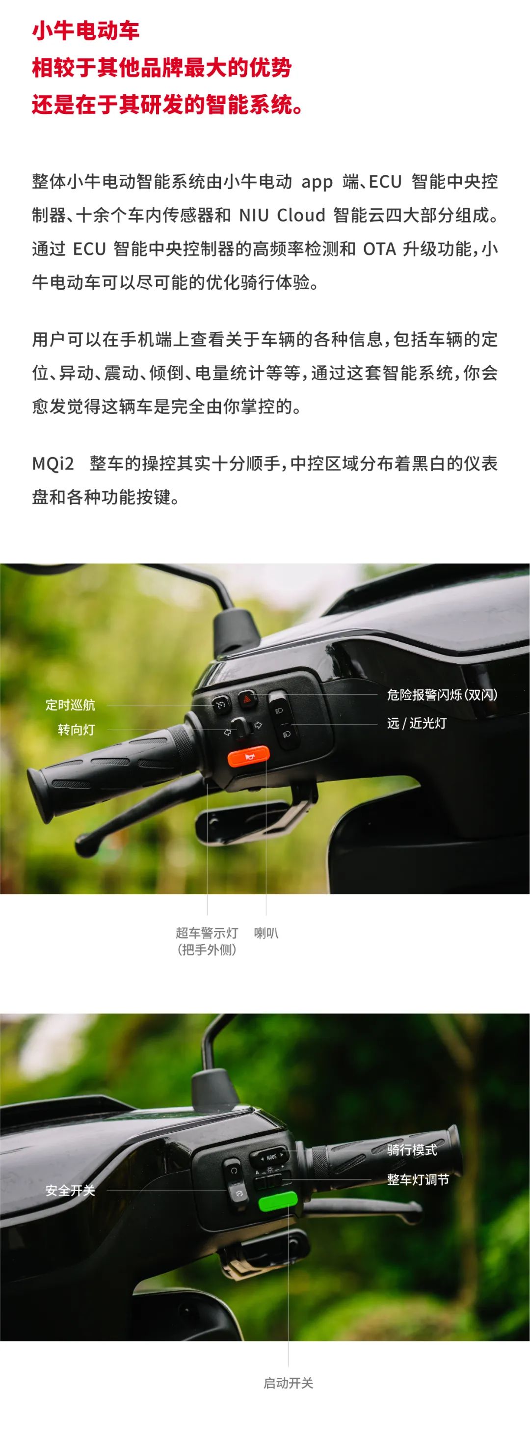 看图识物 n.14|骑上我心爱的小摩托,小牛 mqi2