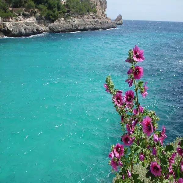 曾国藩诗10首倚天照海花无数流水高山心自知