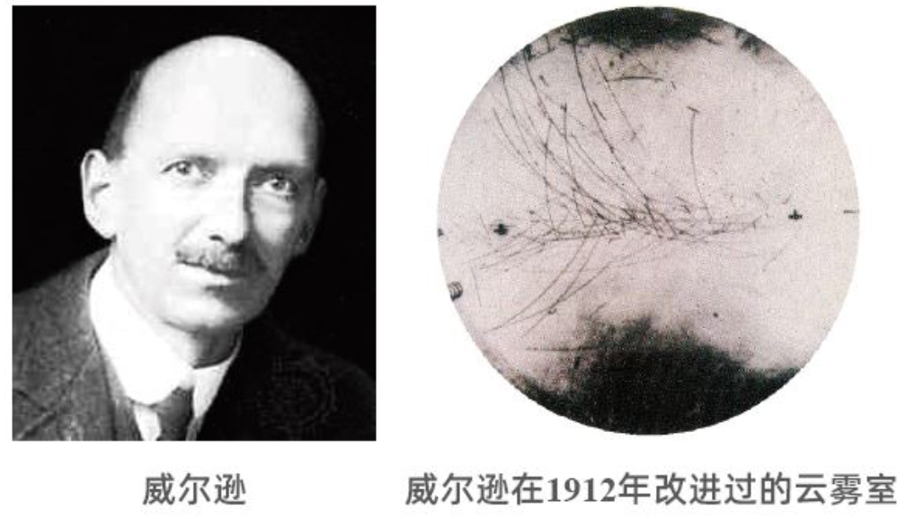 受自然的启示做出的重大科学发现