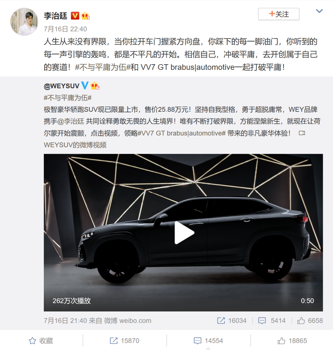 与改装大佬联名的限量款，这台WEY你想要吗？