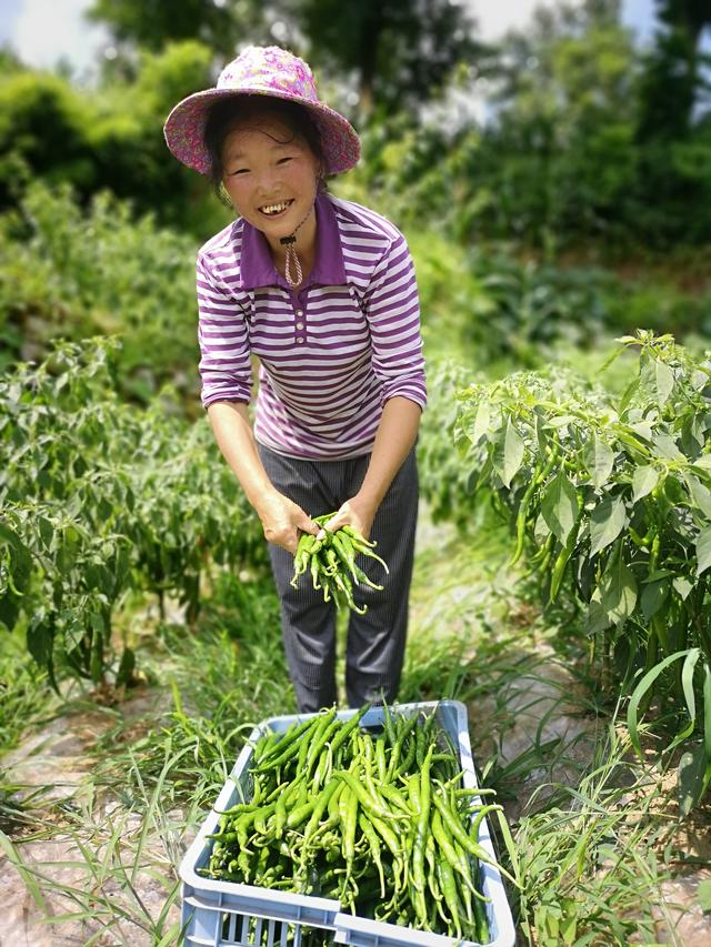 岩脚村总人口_湖南靖州岩脚村:从“贫困村”到“3A景区”的华丽转身