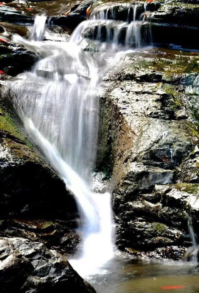 「文旅资源普查」栖凤峡森林公园