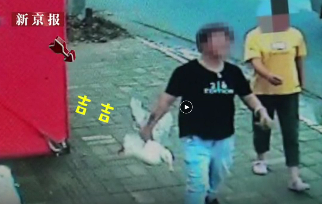  寻鸭启事中，王珞丹公布了抓鸭人的照片。截图