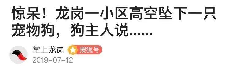 家犬排行榜_世界上最丑的狗排行榜十大最丑宠物狗(2)