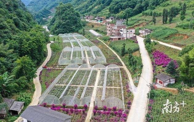 广东省政府采购扶贫馆正式上线并完成首单交易