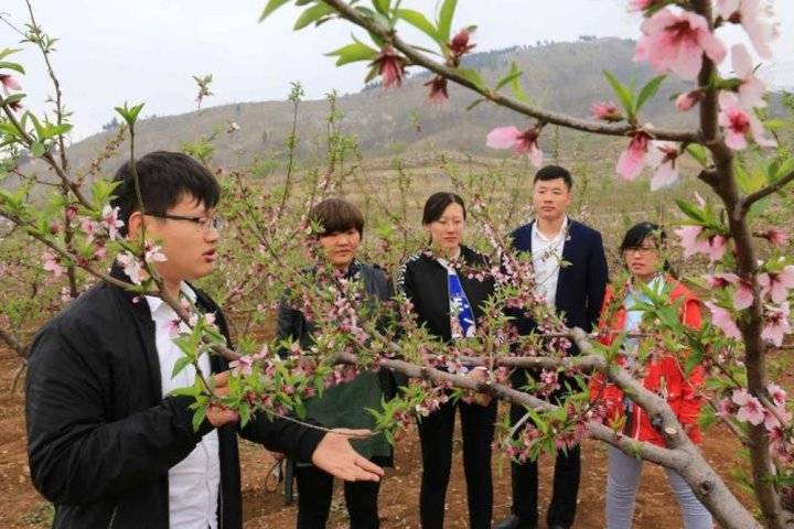 放大人才效应，新泰“育苗升级”工程吸引325名大学生回乡任职