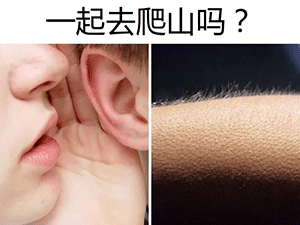300_225gif 动态图 动图