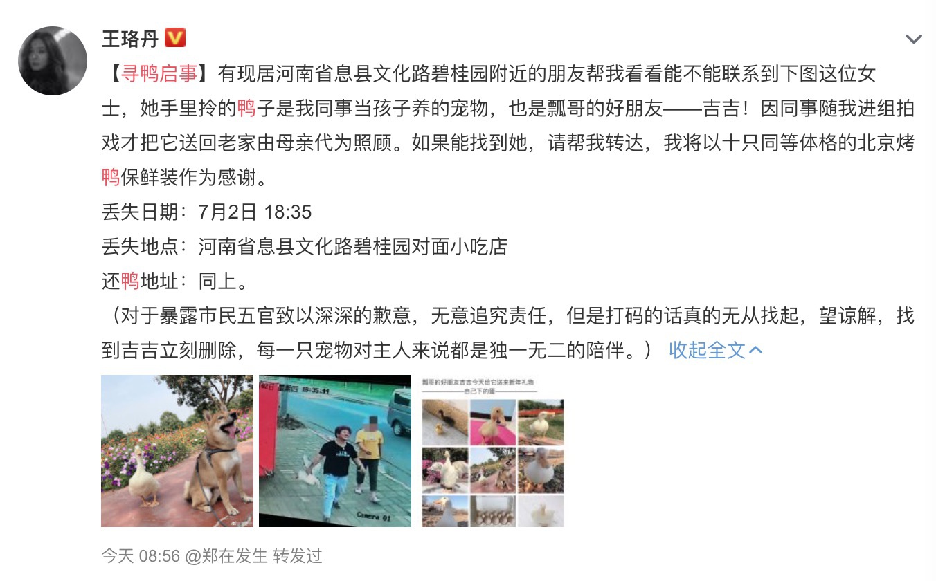  3日凌晨，王珞丹在微博发布寻鸭启事。截图