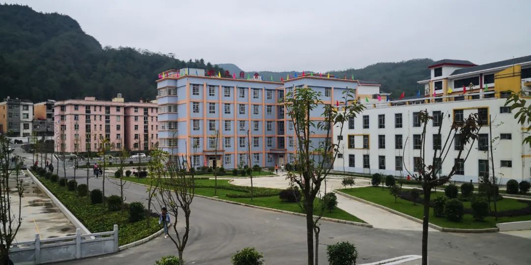 现场会|镇雄县|供货商_新浪新闻
