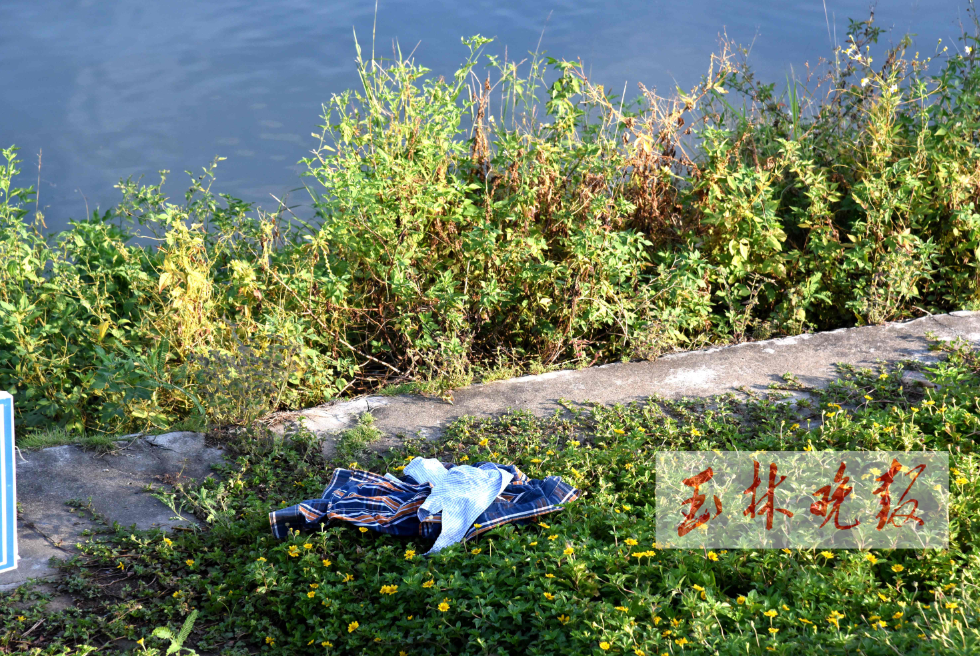 阳谷南湖溺水图片