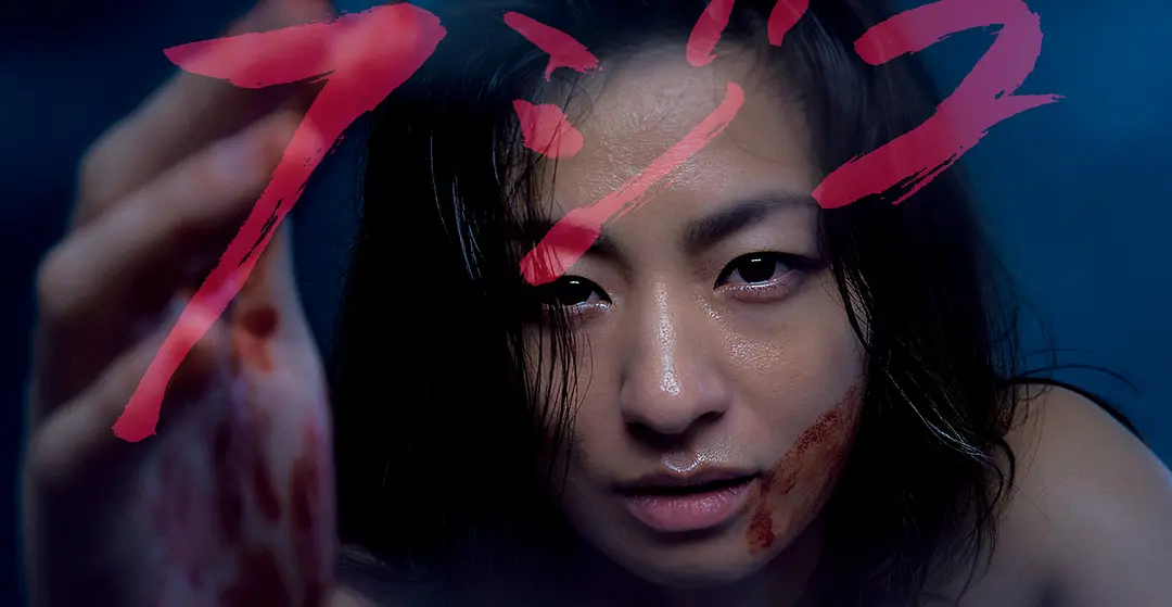 家暴,整容,杀人,被这女主刷新三观|母亲|美智子|小姨_新浪新闻