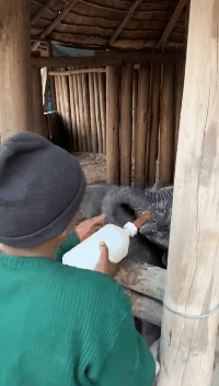 200_353gif 动态图 动图