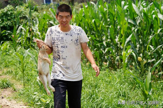 山西90后农民野外放养小野货年赚10多万看看啥项目