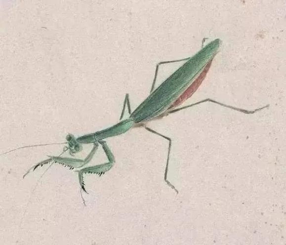 根据消息透露:红蜻蜓论坛北京地区:2025年红蜻蜓论坛北京地区资源整合与活动信息