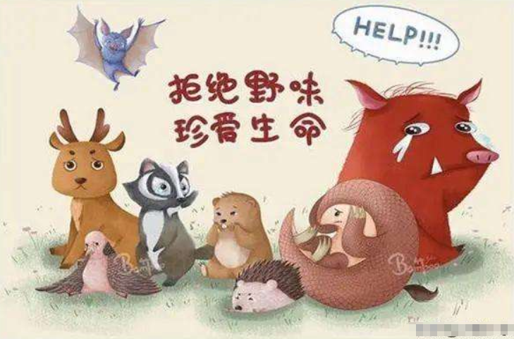 这些相关法律你知道吗!|刑法|野生动物|咸宁市_新浪新闻