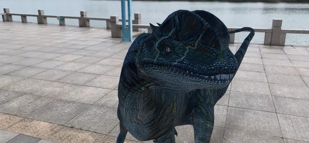 谷歌ar"动物园"里有什么?