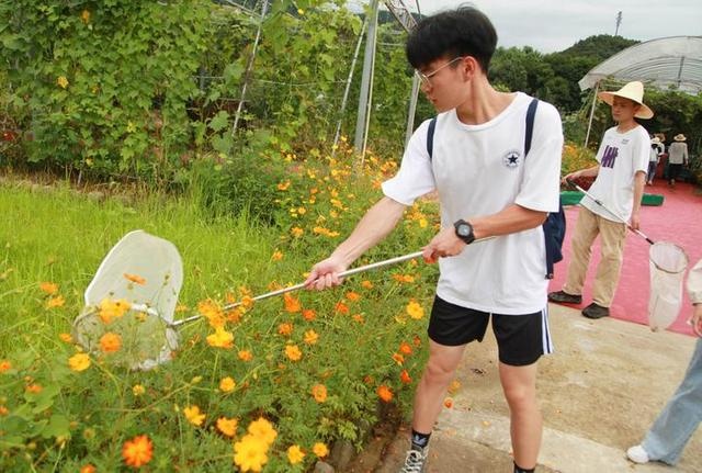 这些大学生的暑期实习作业很特别 去野外捕捉600只昆虫