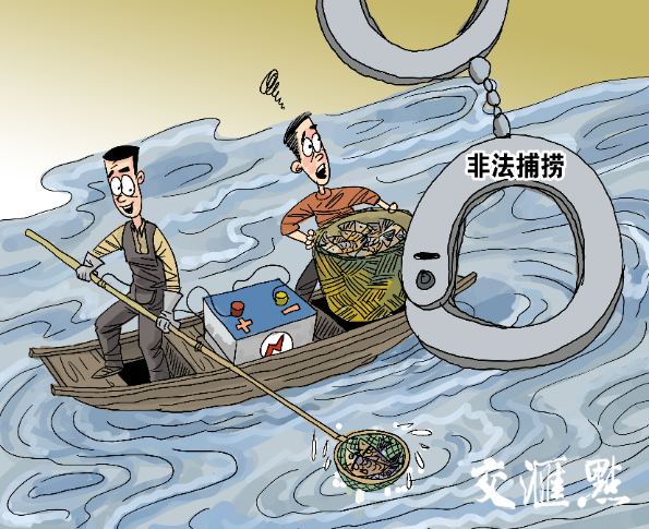 漫说快评|令行禁止狠抓"禁渔"