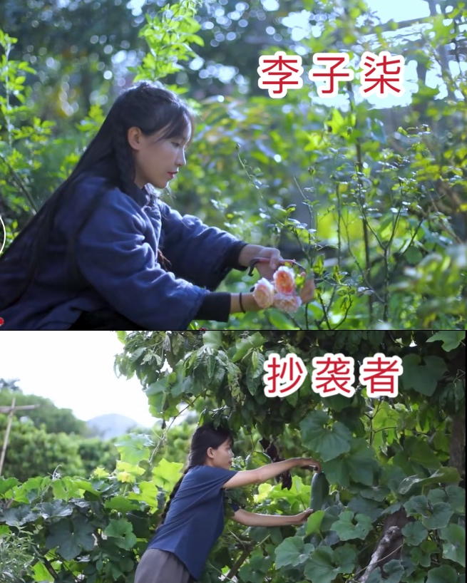 李子柒是越南人震惊过后我才看懂了这个女孩的可怕