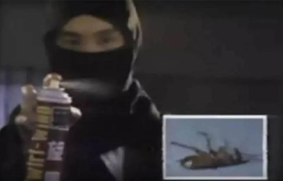 一罐黑旋风杀虫剂,将螳螂喷死:"月黑风高杀虫夜,黑旋风忍者为民除害